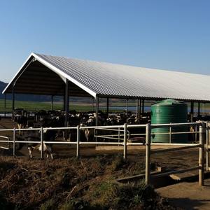 Bâtiments en acier, nouveauté, à bas prix, briques de levage de mollet, bâtiments de ferme, journal intime, animaux de ferme - Product Image 2