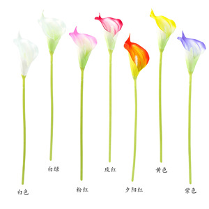 Fleurs artificielles Calla Lily EVA Wen Hope, blanc, rose, jaune, orange, violet, tige unique, accessoires de décoration pour mariage et maison - Product Image 5