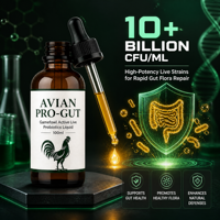 Poudre Probiotique pour Volailles à Base de Bacillus Subtilis et Bacillus Coagulans, Soluble dans l'Eau, Qualité Alimentaire, Approvisionnement en Vrac, Support OEM