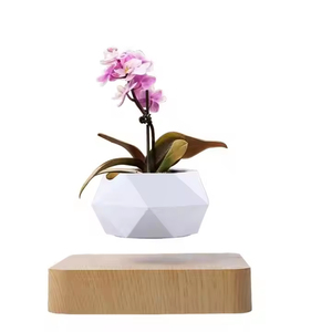 2025 Offre Spéciale cadeaux personnalisés <span class=keywords><strong>Pot</strong></span> <span class=keywords><strong>de</strong></span> <span class=keywords><strong>fleur</strong></span> en lévitation magnétique <span class=keywords><strong>Pot</strong></span> <span class=keywords><strong>de</strong></span> plante flottant pour la décoration <span class=keywords><strong>de</strong></span> la maison - Product Image 1