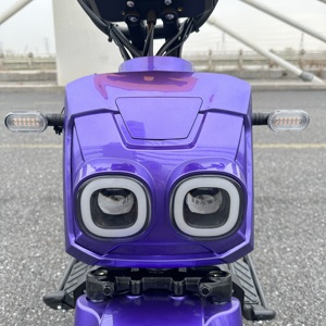 Fabricant OEM chinois de scooter à deux roues avec batterie au plomb-acide 48V, de haute qualité, pas cher, avec siège - Product Image 3