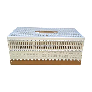 TUOYUN Factory Direct Sale De Pour Metal Stainless Steel Poultry Transport Cage For Pigeon Feed Box Pigeons