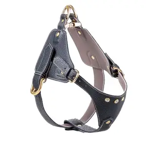 Secure Packaging Personalized Luxury Custom Dog Pet Leather Harness