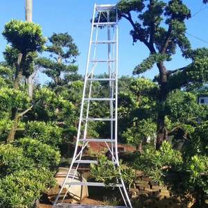 Échelle de Jardinage en Alliage d'Aluminium 3-12 Marches, Stable et Anti-Tremblement, pour l'Élagage, la Jardinage, la Pépinière, la Verger et la Récolte des Fruits - Product Image 2
