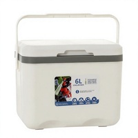 Glacière portable 12L en PP pour pique-nique et stockage de boissons pour le camping