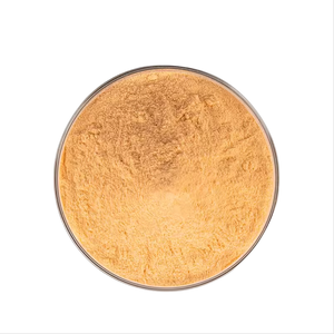 Beste Prijs 25% 75% Gymnemisch Zuur Gymnema Sylvestre Leaf Extract Poeder - Product Image 1