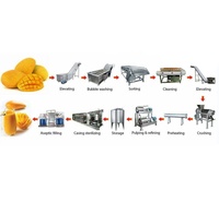 Volledige Natuurlijke Sap Productielijn Vruchtensap Productielijn Juicer Productielijn Verwerkingsmachine