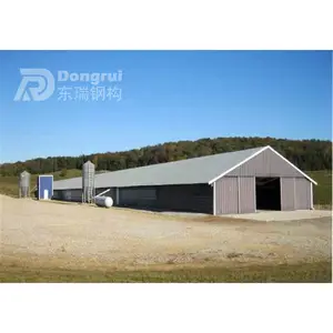 large span poultry farm prefabricated steel structure chicken farm shed design buildings