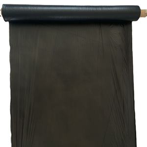 Fabricant de film de paillis plastique biodégradable pour l'agriculture - Product Image 2