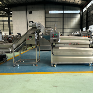Fully Automatic Continuous Frying Production Line Stainless Steel Frying Equipment for Food Factories - Product Image 1