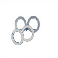 High Quality DIN127 Spring Washers Zinc Plated Made in China