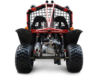 Trung Quốc Mini Buggy 800Cc 2 Chỗ Người Lớn Dune Buggy - Product Image 3