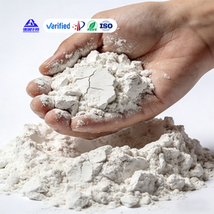 Filtro in polvere <span class=keywords><strong>di</strong></span> Diatomite per uso <span class=keywords><strong>alimentare</strong></span> a rete 325 per uso industriale adsorbimento <span class=keywords><strong>di</strong></span> solidi sospesi prodotti <span class=keywords><strong>di</strong></span> <span class=keywords><strong>terra</strong></span> <span class=keywords><strong>diatomacea</strong></span> - Product Image 2