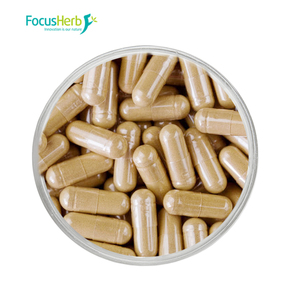 Focusherb EU&amp;USDA Grifola Frondosa <strong>Extract</strong> 30% Polysaccharide Organic Maitake <strong>Extract</strong> - Product Image 4
