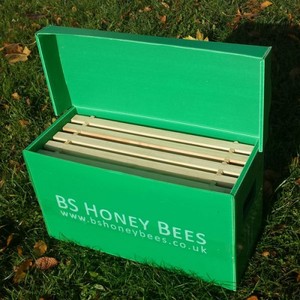 กล่อง Corex <span class=keywords><strong>Bee</strong></span> สำหรับ5เฟรมกล่องพลาสติกลูกฟูก - Product Image 3