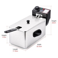 Andong – mini friteuse électrique portable 4L, utilisable en famille, directement en usine