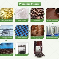 Ligne d'équipement de transformation du cacao semi-automatique pour la production de chocolat, moule à chocolat