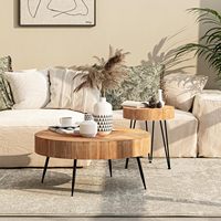 Ensemble de tables d'appoint rondes rustiques modernes avec grain de bois réaliste pour appartement