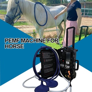 Appareil PEMF portable pour chevaux avec double commande pour améliorer la flexibilité et la mobilité des articulations et stimuler la vitalité - Product Image 1