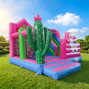 Château gonflable commercial WINSUN en PVC certifié CE avec installation facile et design Alpaca - Product Image 1