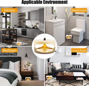 Chingyoo fábrica venta al por mayor Gran oferta <span class=keywords><strong>mejor</strong></span> hogar seguro asesino trampa para pulgas papel adhesivo - Product Image 6