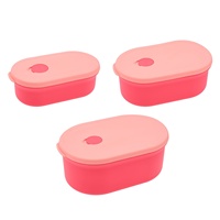 Boîte à lunch en silicone compatible micro-ondes, hermétique, compartiments isothermes, portable, design moderne et minimaliste, pour fruits