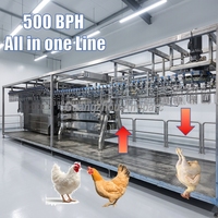 Ligne d'abattage automatique de volailles industrielle 800 BPH # Usine de transformation de poulet tout-en-un en acier inoxydable 304, équipement d'abattoir