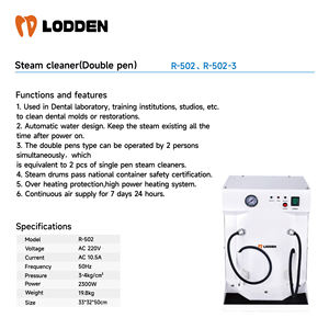 Tandheelkundige Laboratoriumapparatuur Hogedrukstoomreiniger Dubbele Pen/Elektrische Stoomreiniger - Product Image 2