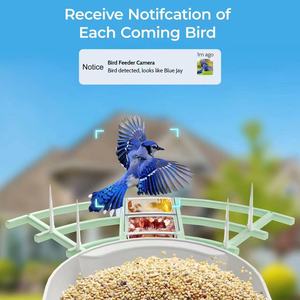 Ngoài trời <span class=keywords><strong>Bird</strong></span> Feeder với HD Camera năng lượng mặt trời powered và thời tiết kháng nhà ở ai công nghệ với tầm nhìn ban đêm cho 24/7 - Product Image 5