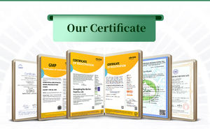 OEM 2 en 1, poudre complexe de créatine et d'acides aminés, complément énergétique pour la musculation, sans avis, personnalisation de votre logo, OEM - Product Image 5