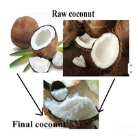 Extracteur de chair de noix de coco électrique
