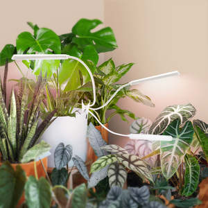 J&c LED 3 Başlıklı İç Mekan Bitkileri İç Mekan Yetiştirme Lambaları Bitki Yetiştirme Lambası Ev Bahçesi Tam Spektrumlu İç Mekan Led Bitki Yetiştirme Lambası - Product Image 4