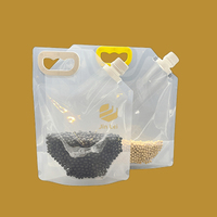 3l 5l type PET de qualité alimentaire Transparent usine utilisation de restauration personnalisée grande taille pochettes de buse poignée en plastique