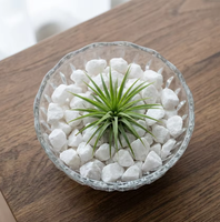 Gravier de pierre naturelle polie avec texture stable et écologique pour la mise en place de cours intérieures et la production de mélanges de terrazzo