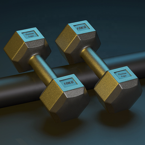 Durable Custom <b>Dumbbells</b> 10 Colors 10lbs Anti-Roll Square Head Hand Weights for Home Gym Fitness Exercise - Product Image 1
