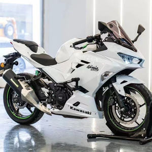 Motocicleta Bicilíndrica Kawasaki Ninja Pequeña Horizon de Combustible para Adultos Tipo Locomotora Deportiva Pesada - Product Image 2