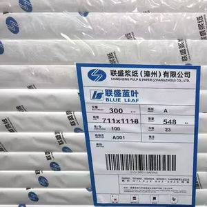LIANSHENG BLUE <b>LEAF</b> CIS Ivory Moisture Proof Duplex Board for Logistics Packaging and Offset Printing - Product Image 1