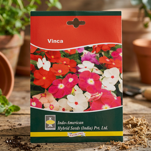 IAHS VINCA PACIFICA XP MIX Fleurs séchées 25 graines multicolores Lot de 25 Inde - Product Image 3