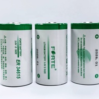 Batterie de secours intelligente au lithium-ion 3,6 V ER34615 pour compteurs d'eau, d'électricité, de chaleur et de gaz, type 1D