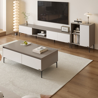Meuble TV Quanu DW1166A pour salon, nouveau design, avec rangement, pieds en métal, style moderne.