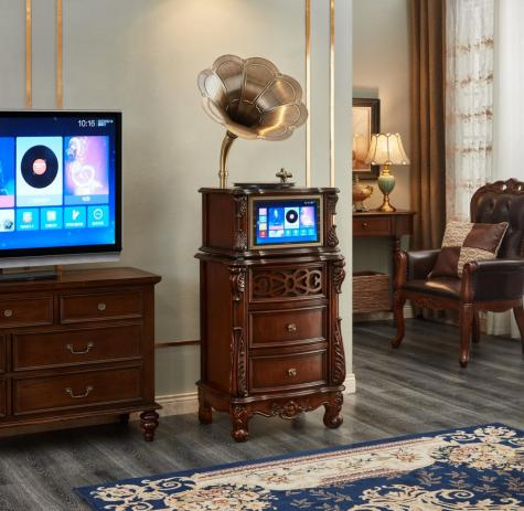 ODN-921 Professional Cabinet Phonograph for Karaoke with Display Screen and Microphone Storage
