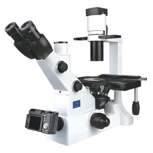 Xd-202 Перевернутый Биологический микроскоп