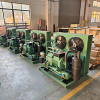 RUIXUE Vente directe d'usine R290/380V Unités de condensation d'air pour chambre froide Unités extérieures de réfrigération