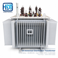 Transformateur de distribution immergé dans l'huile triphasé S13-M 30 kVA 100 kVA 250 kVA 50/60 Hz pour équipements électriques et électroniques