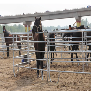 ऑस्ट्रेलिया मार्केट फार्म पशु प्रयुक्त पशुधन बाड़ मवेशी घोड़ा भेड़ पैनल कोरल गेट - Product Image 6