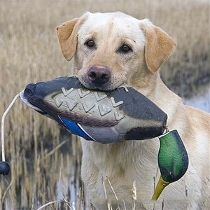 Mimics Dead Duck Stoßstange Spielzeug für das Training Welpen Jagdhunde lehrt Mallard Water fowl Game Retrieval Interaktives Hunde training - Product Image 2