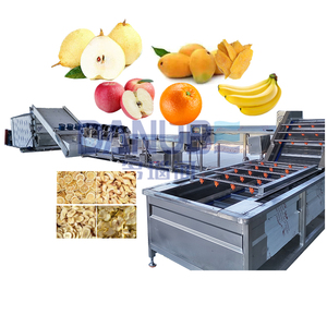 Équipement industriel de déshydratation de fruits, sécheuse à mangues, plantains, bananes, poires, pommes, machine de séchage de fruits - Product Image 1
