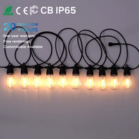 Guirlande lumineuse LED S14 extérieure personnalisée OEM ODM, IP65, anti-corrosion UV, faible MOQ pour aménagement de jardin et de fête en extérieur