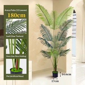 Planta Artificial en Oferta, Bonsái Artificial de 90cm-250cm de Altura y Palmera <span class=keywords><strong>Kentia</strong></span> de Plástico, Palmera Decorativa para Exteriores - Product Image 4