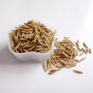 Larvas Secas de Mosca Soldado Negra de Alta Calidad a Granel para Alimento de Aves de Corral - Product Image 6